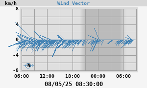 Wind Vector